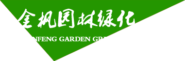 _(ti)ʢƼ޹˾